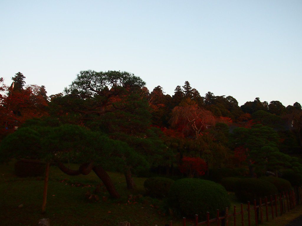 塩釜神社境内の紅葉